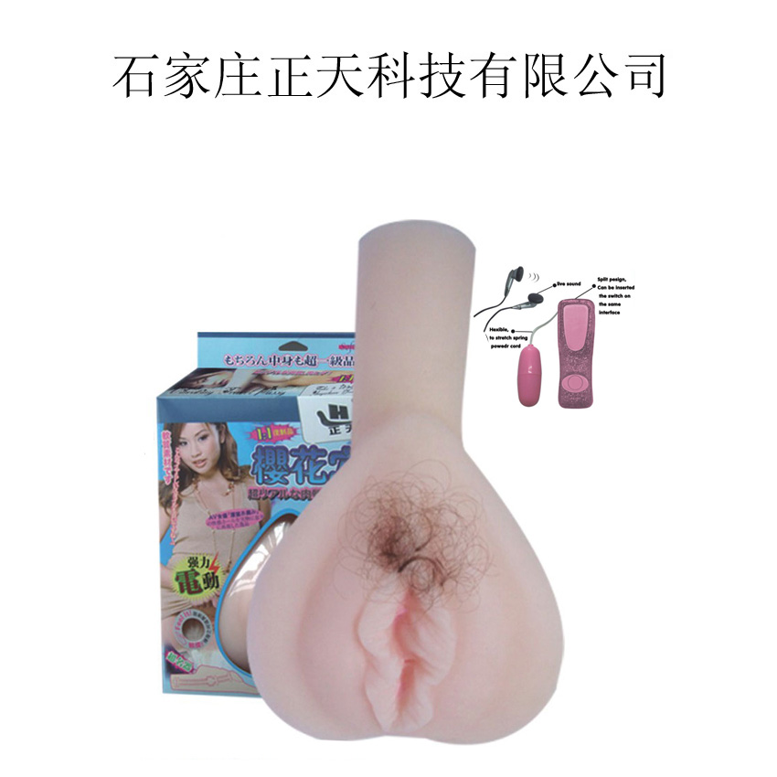 Simulation Sex Toy